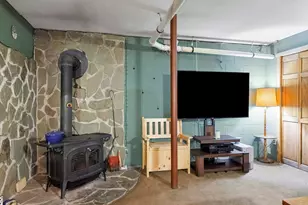 235 Wilbur Ave, Kingston, NY 12401 - Photo 29