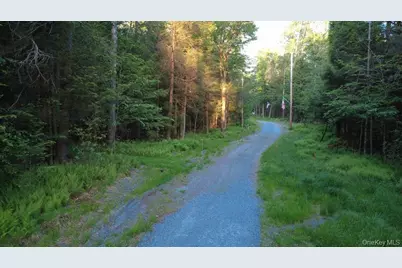 52 Log Road, Parksville, NY 12768 - Photo 23