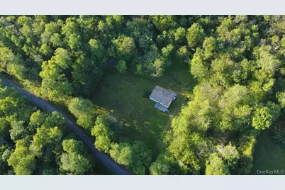 52 Log Road, Parksville, NY 12768 - Photo 1