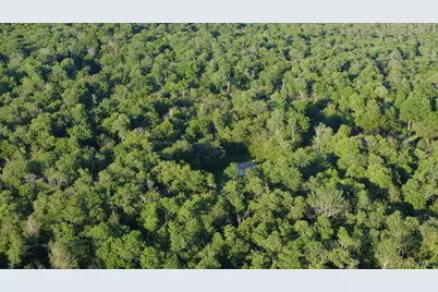 52 Log Road, Parksville, NY 12768 - Photo 29