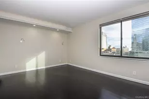 10 Cottage Pl, White Plains, NY 10601 - Photo 13