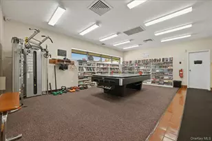 127 Laurel Ln, Wantagh, NY 11793 - Photo 29