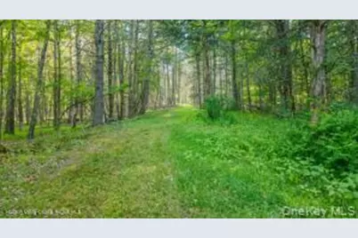 4533 Atwood Road, Stone Ridge, NY 12484 - Photo 43