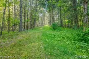 4533 Atwood Rd, Stone Ridge, NY 12484 - Photo 43