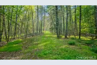 4533 Atwood Road, Stone Ridge, NY 12484 - Photo 41