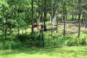 553 Friedenstein Rd, Fremont Center, NY 12760 - Photo 7
