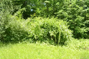 549 Gavette Rd, Roscoe, NY 12776 - Photo 25