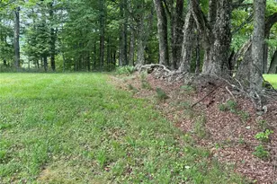 742 Lenape Lake Rd, Livingston Manor, NY 12758 - Photo 15