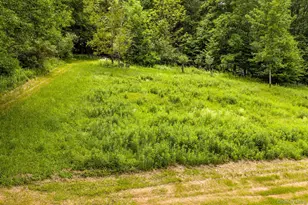 673 Hessinger and Lare Rd, Jeffersonville, NY 12748 - Photo 39