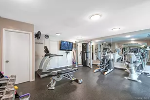 317 Kemey Cove, Briarcliff Manor, NY 10510 - Photo 23