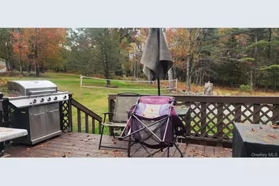 565 Cold Spring Road, Monticello, NY 12701 - Photo 11