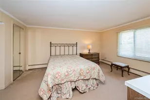 14 Cary Rd, New Hyde Park, NY 11040 - Photo 21