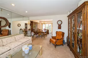 14 Cary Rd, New Hyde Park, NY 11040 - Photo 5