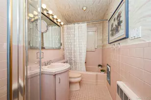 14 Cary Rd, New Hyde Park, NY 11040 - Photo 15