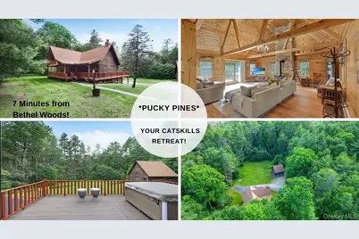 306 Pucky Huddle Road, Bethel, NY 12720 - Photo 1