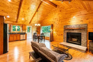 316 Mohonk Rd, High Falls, NY 12440 - Photo 5