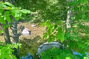 [Address not provided], Livingston Manor, NY 12758 - Photo 37