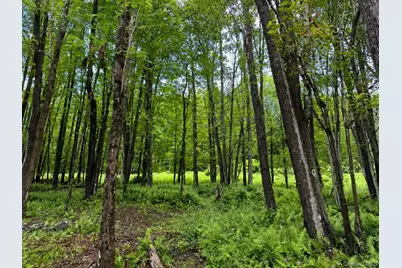 256 Main Street, Livingston Manor, NY 12758 - Photo 17