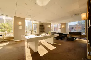 247 W 46th St, New York, NY 10036 - Photo 17