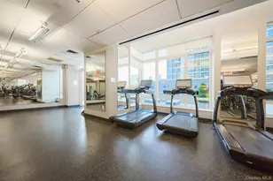 247 W 46th St, New York, NY 10036 - Photo 21
