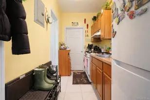 514 East 53rd, Brooklyn, NY 11203 - Photo 27
