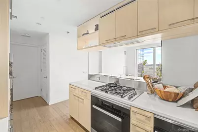250 South Street #50N, New York, NY 10002 - Photo 5