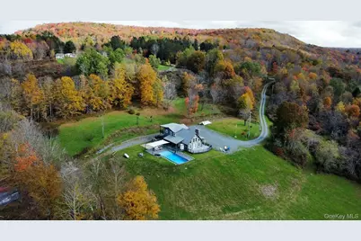 103 Breezy Hill Road #1, Parksville, NY 12768 - Photo 1