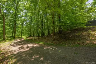 312 Sky Farm Rd, Copake Falls, NY 12516 - Photo 43