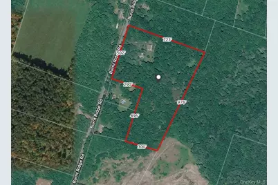 239 Burnt Ridge Road, Liberty, NY 12754 - Photo 49