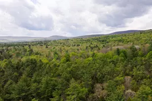 2013 Co Rd 3, Olivebridge, NY 12461 - Photo 31