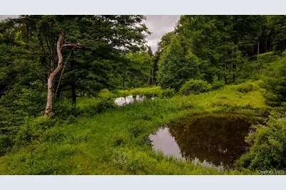 385 Sundown Road, Grahamsville, NY 12740 - Photo 23