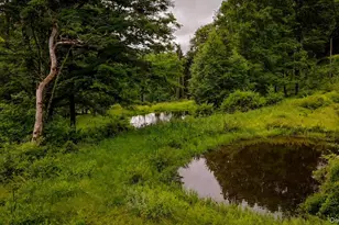 385 Sundown Rd, Grahamsville, NY 12740 - Photo 23
