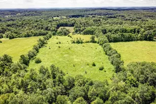 196 Gabriel Rd, Cochecton Center, NY 12726 - Photo 7
