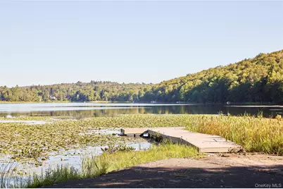 53 Land and Lakes Trail, Kenoza Lake, NY 12750 - Photo 37