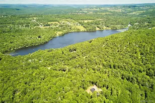 53 Land and Lks Trl, Kenoza Lake, NY 12750 - Photo 3