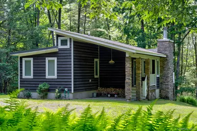 265 Lake Ridge Road, Narrowsburg, NY 12764 - Photo 3