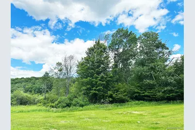 818 Methol Road, Roscoe, NY 12776 - Photo 15