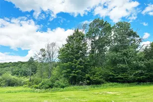 818 Methol Rd, Roscoe, NY 12776 - Photo 15