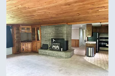818 Methol Road, Roscoe, NY 12776 - Photo 21