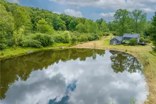 1667 Shandelee Rd, Youngsville, NY 12791 - Photo 3