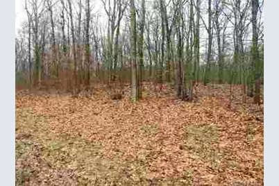 618 Bean River Road, Millerton, NY 12546 - Photo 3