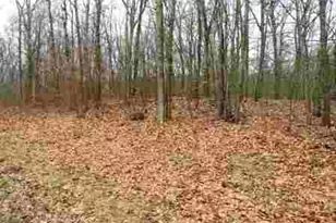 618 Bean River Rd, Millerton, NY 12546 - Photo 3