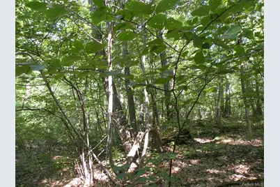 618 Bean River Road, Millerton, NY 12546 - Photo 23