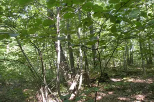 618 Bean River Rd, Millerton, NY 12546 - Photo 23