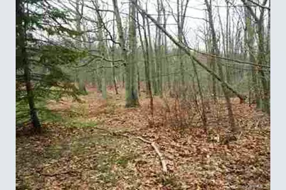 618 Bean River Road, Millerton, NY 12546 - Photo 21