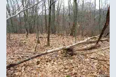 618 Bean River Road, Millerton, NY 12546 - Photo 27