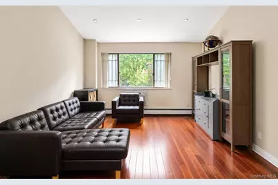 311 Cherry Street #L3, New York, NY 10002 - Photo 3