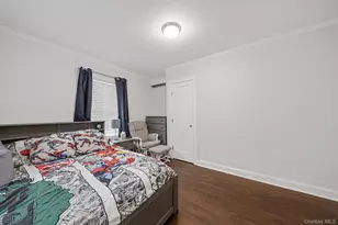 159 Iris Ave, Floral Park, NY 11001 - Photo 21