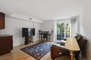 22 Washington Mews, Port Chester, NY 10573 - Photo 21