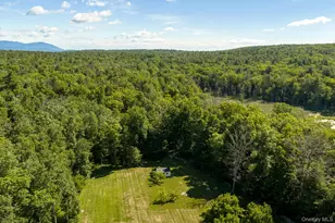 430 Buck Rd, Stone Ridge, NY 12484 - Photo 49